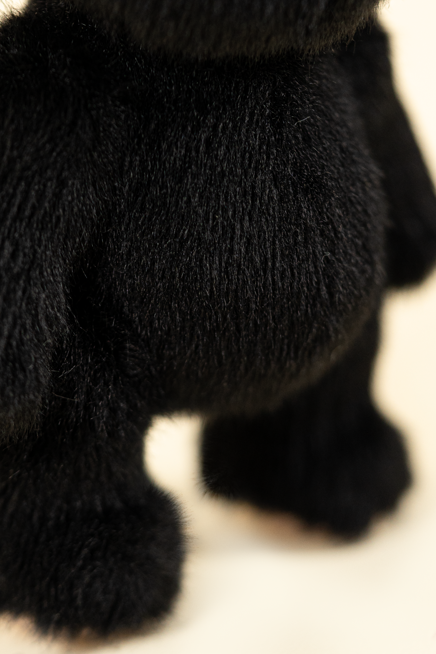 Lina Bear in Black (15cm)