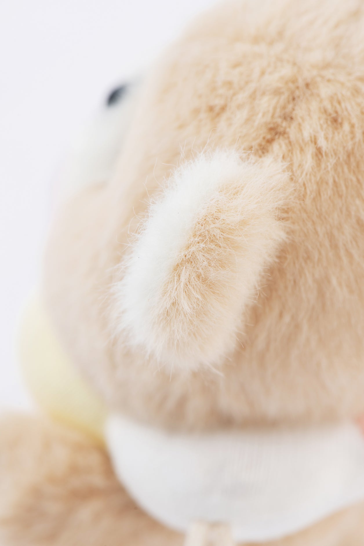 Lina Bear Pocket Series - Rainbow Flower Bear in Purple With Collar (15cm)